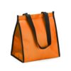 Bolsa Térmica com Capacidade de 6 Litros 2595 | fechamento com velcro.